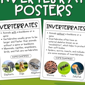 Wirbellose und Wirbellose Poster Tierklassifikation Anker Charts Wissenschaft Lernposter Homeschool Science Poster Science Board