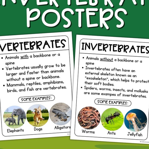 Vertebrate and Invertebrate Posters - Animal Classification Anchor Charts - Science Learning Posters