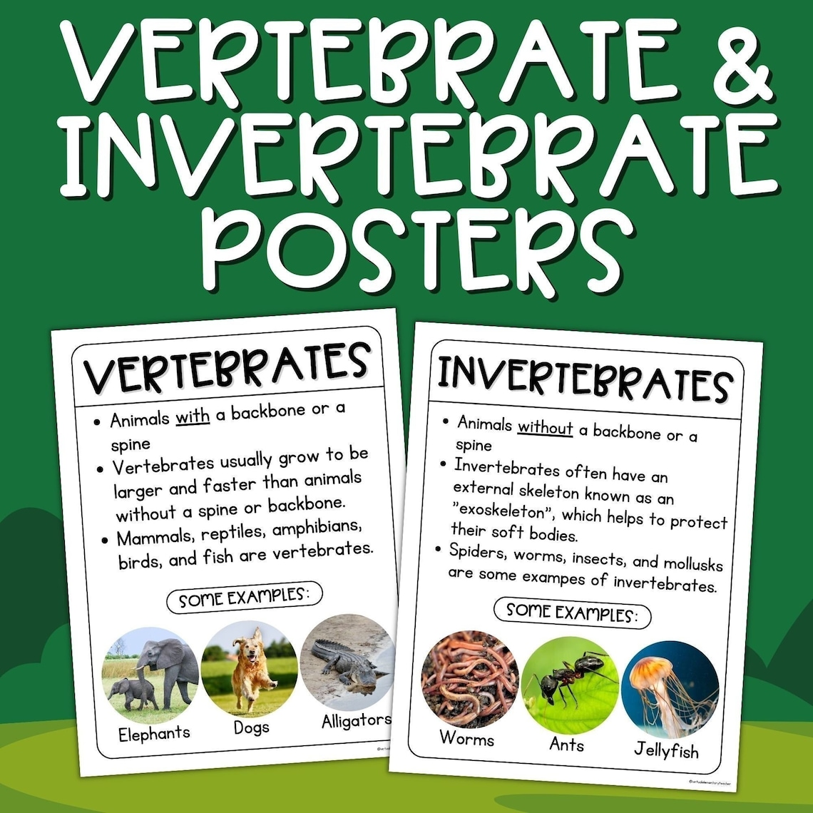 Vertebrate and Invertebrate Posters - Animal Classification Science ...
