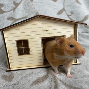 House hide for rodents, Laser Cut file, DIY, Vector, Laser, Download, SVG house hide for hamster mouse