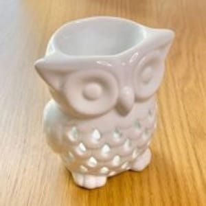 Beautifully Ornate Owl Burner