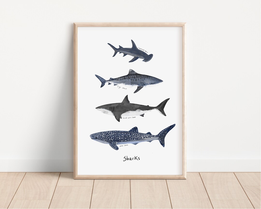 Shark Poster, Shark Print, Ocean Poster, Nursery Poster, Ocean Animals, Gifts for Him, Gifts for ...