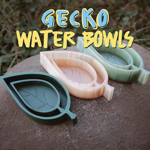 Leaf Water Dish for Geckos, Reptiles, Amphibians & other Small Animals