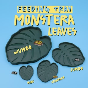 Monstera Leaf Feeding Trays Nature Inspired For Insects & Small Animals, Isopods, lizards, geckos