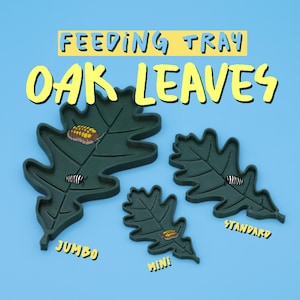 Oak Leaf Feeding Trays Nature Inspired For Insects & Small Animals, Isopods, lizards, geckos