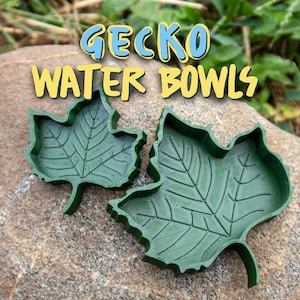 Sycamore Water Dish for Geckos, Reptiles, Amphibians & other Small Animals