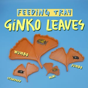Ginko Blatt Futterschalen Natur Inspiriert für Insekten und kleine Tiere, Isopoden, Eidechsen, Geckos