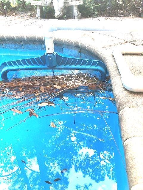 Swimming Pool Cleaner 'Pool Skim Assist'  WITH LEAF NET!   Let Skim Assist do the work for you!