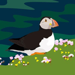 Puffin Art Greeting Card – Seashore Wildlife Card - Nature Lover Gift - Bird Enthusiast Present - Blank Inside