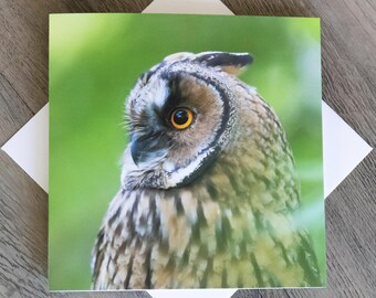 Long-eared Owl Greeting Card – Original Wildlife Photography | Wildlife Animal Card | Bird Greetings Card | Wildlife Card | Blank Card