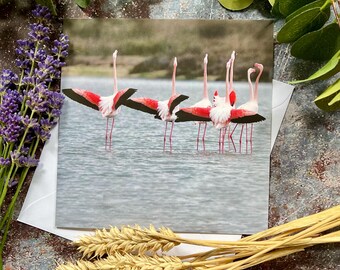 Greater Flamingos Greeting Card – Camargue Wildlife Photography – Elegant Bird Art – Nature Lover Gift – Blank Inside