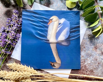 Swan Greeting Card – Bird Photography Card – British Wildlife Art – Nature Lover Gift | Countryside Card | Special Occasion | Birthday Card