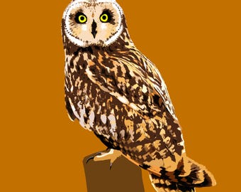 Short-eared Owl Greeting Card – Modern Vector Wildlife Art – Nature Lover Gift – Bold Bird Illustration – Blank Inside