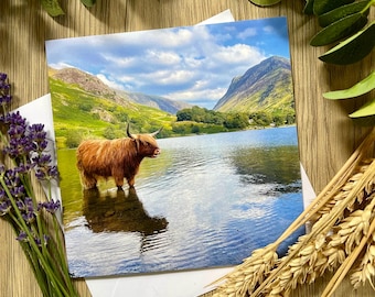Highland Cow Greeting Card – Lake District Photography - Nature Lover Gift - British Countryside Card - Highland Cow Thankyou - Blank Inside