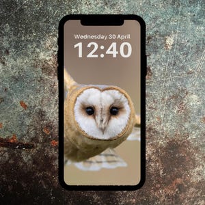 Sfondo per telefono con barbagianni dal petto scuro - Download digitale / Schermata di blocco della fauna selvatica / Sfondo naturale / Sfondo per iPhone e Android