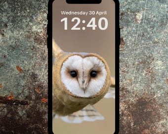 Dark breasted Barn Owl Phone Wallpaper – Digital Download | Wildlife Lock Screen | Nature  Background | Wallpaper for iPhone & Android