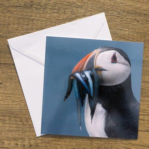 Puffin Greeting Card – Puffin with Fish Catch | Wildlife Animal Card | Bird Greetings Card | Wildlife Card | Blank Card