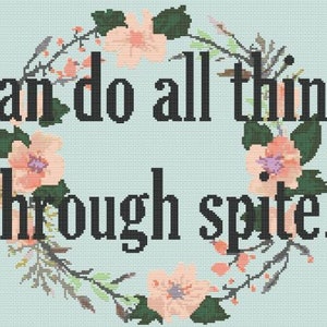 I can do all things through Spite counted cross stitch