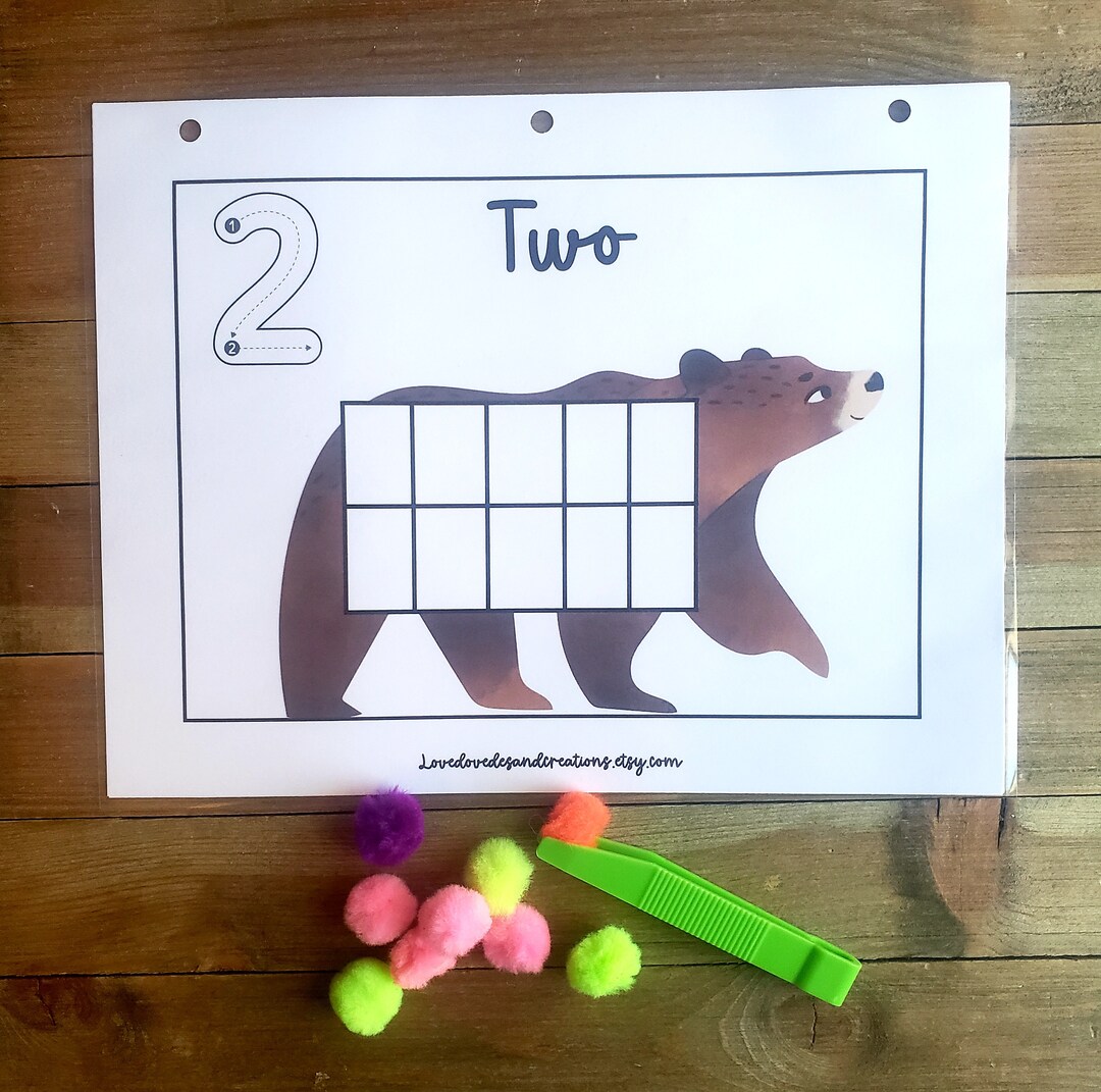 FINE MOTOR Pom Pom Counting & Tracing Set 110printed and Shipped