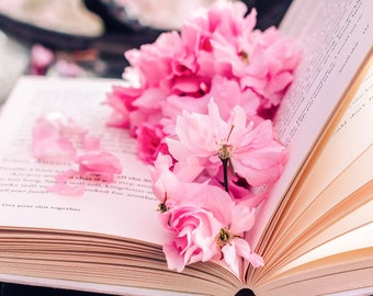 London Photography print, Greenwich Park, book with cherry blossom on the bench, Fine Art Photography, Wall Art