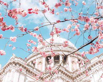 ロンドンの写真プリント、桜の木のあるセントポール大聖堂、ファインアート写真、ウォールアート