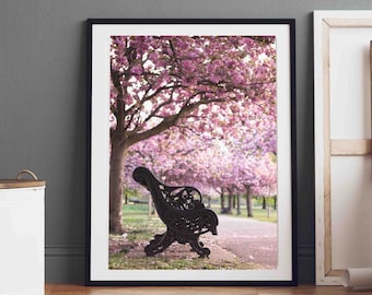 London Photography print, Greenwich Park bench cherry blossom alley, Fine Art Photography, Wall Art