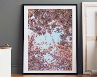 London Flower Photography print, Cherry Blossom Flower, Fine Art Photography, Wall Art