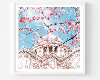 London Photography 5x5 print, St Pauls Cathedral with cherry blossom tree, Fine Art Photography, Wall Art