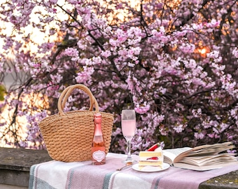 Flower Photography print, Picnic under Cherry Blossom Tree, Fine Art Photography, Wall Art