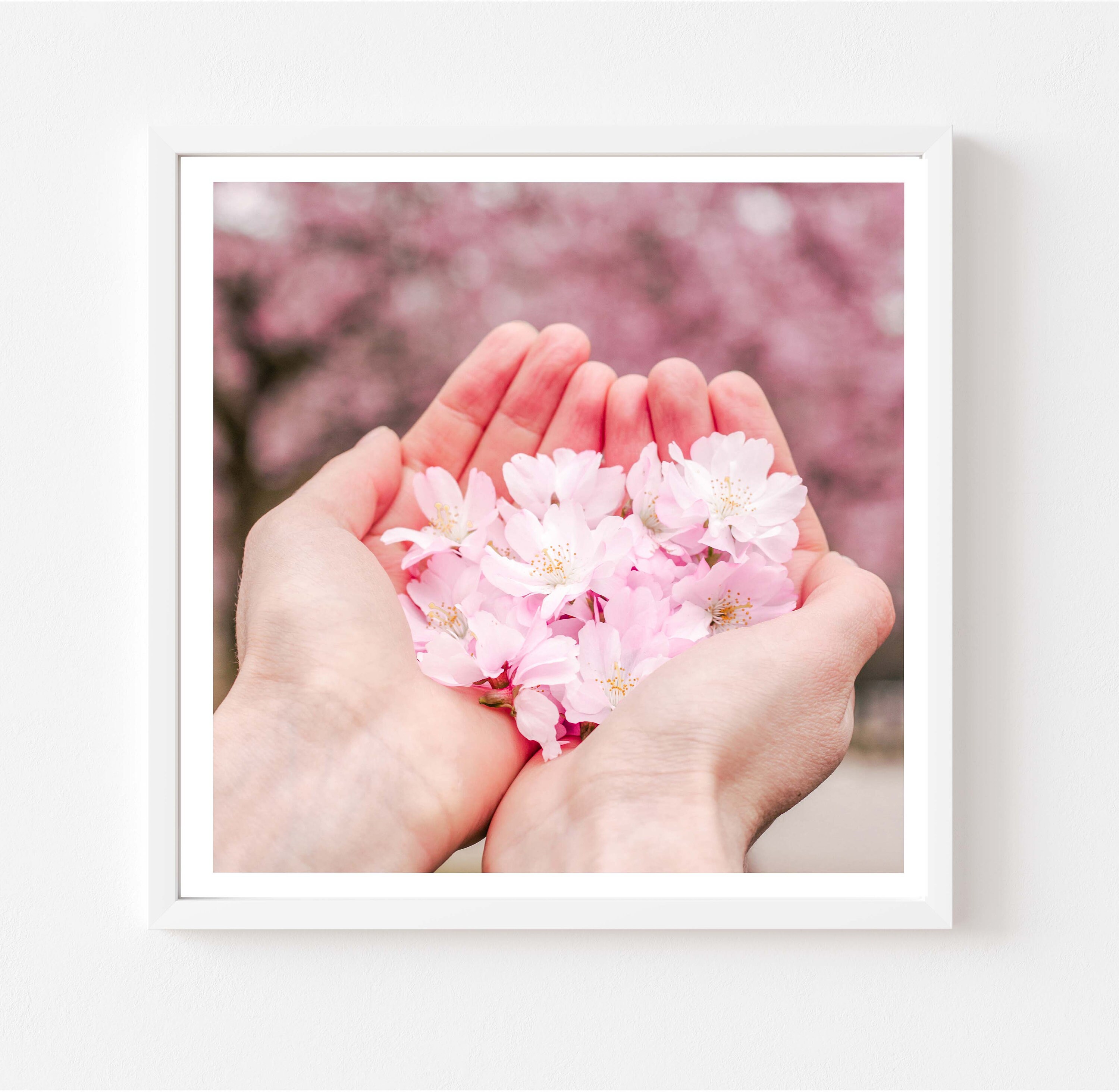 London Flower Photography 5x5 print, Cherry Blossom Flower, Fine Art Photography, Wall Art