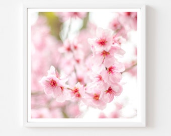 London Flower Photography 5x5 print, Cherry Blossom Flower, Fine Art Photography, Wall Art
