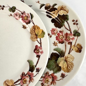 May include: Two white ceramic plates with a floral design. The plates feature a border of pink and yellow flowers, green leaves, and brown stems. The plates are likely for serving food.