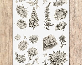 Botanical Vintage Flowers Sticker Sheet, Victorian aesthetic, scrapbook supplies