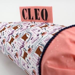 Cartable personnalisé en tissu | Cône de sucre | Chats | avec nom | Filles Garçons