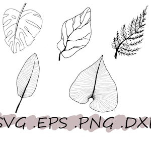 May include: Five black and white line drawings of leaves. The leaves are of different shapes and sizes. The drawings are simple and elegant.
