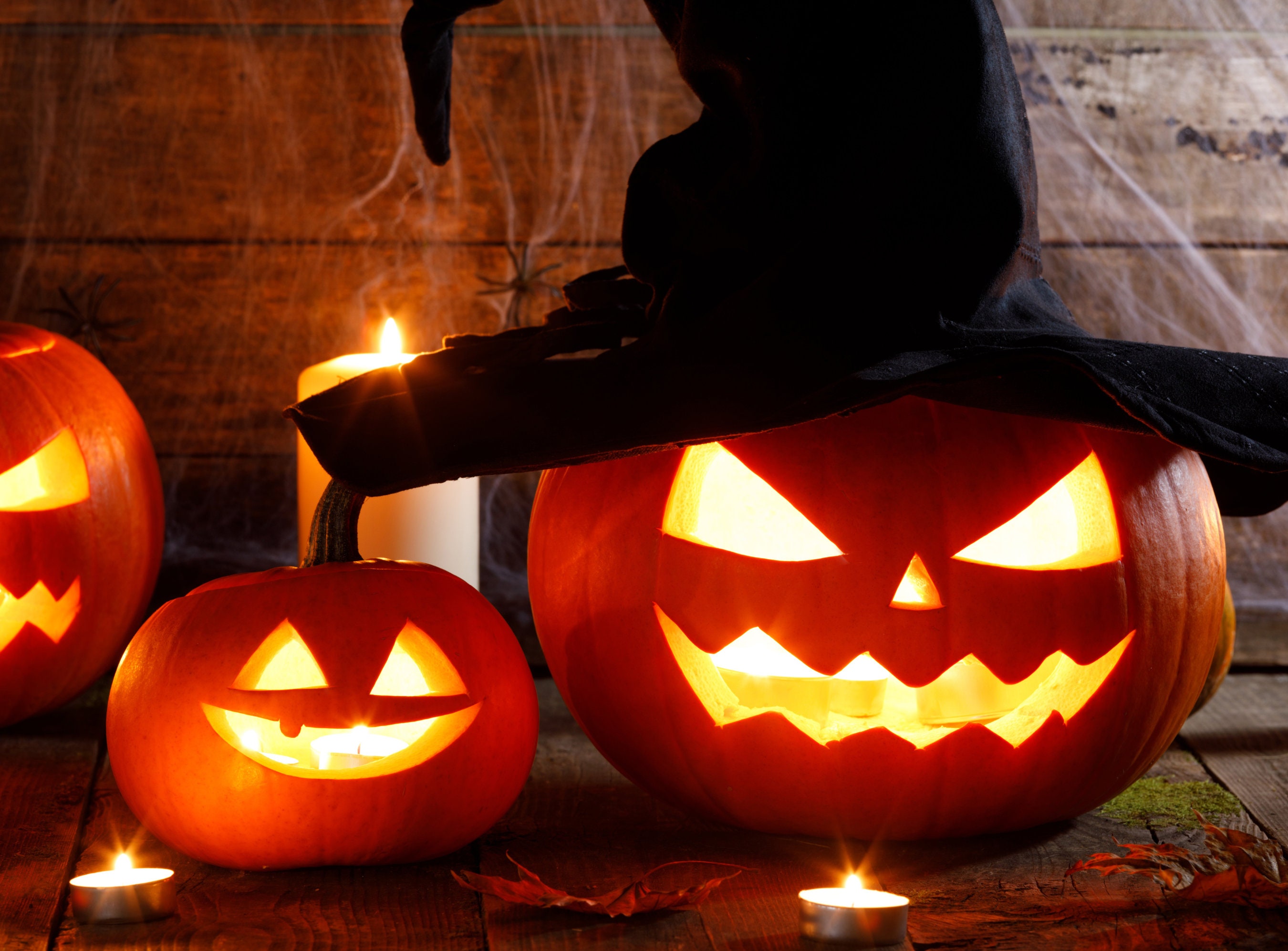 Pumpkin Carving Stencils halloween Pumpkin Carving Patterns printable 
