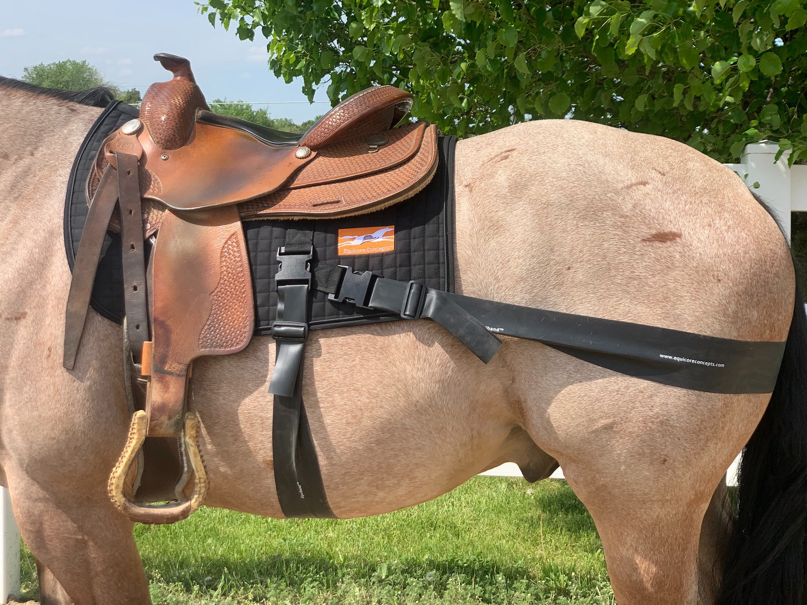 Complete Equiband® Pro System Etsy Australia