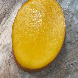 Miyazaki Mango (Pre-order Spring 2026 Seedling)