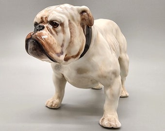 1930s Royal Doulton Standing English Bull Dog With Collar HN1074 English Bone China Figurine