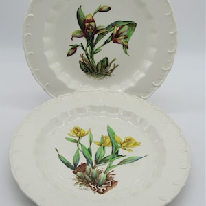 Vintage Rare Copeland Spode England J Price S3239 Orchid Plates No 3 Callanthe Vestita and No 7 Cattleya Citrina