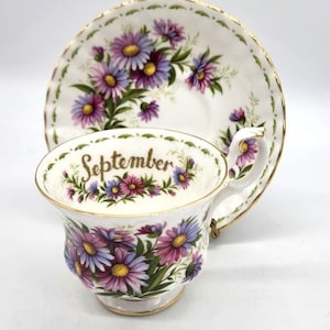 Royal Albert September Flower of the Month TeaCup and Saucer, Michaelmas Daisy Flower Pattern