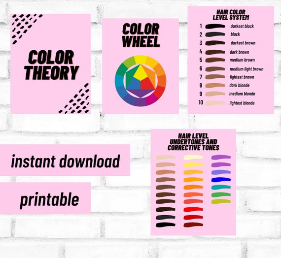 Color Theory Pack Color Wheel Hair Level Chart Undertone - Etsy UK Color Theory Pack Color Wheel Hair Level Chart Undertone - Etsy UK