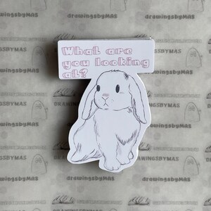 Pegatina de conejito para amantes de los libros y los lectores. ¿Qué estás mirando? Pegatinas bonitas para regalar. Pegatina de planificador feliz. Sin sentido del humor.