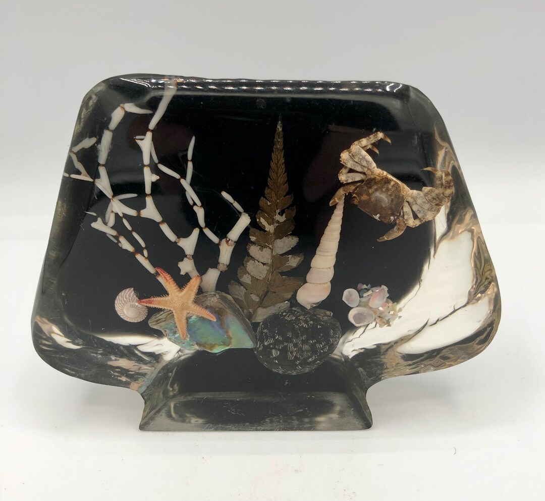 Lucite Paperweight, Sea Life, Crab and Shells - Etsy