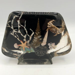 Lucite Paperweight, Sea Life, Crab and Shells - Etsy