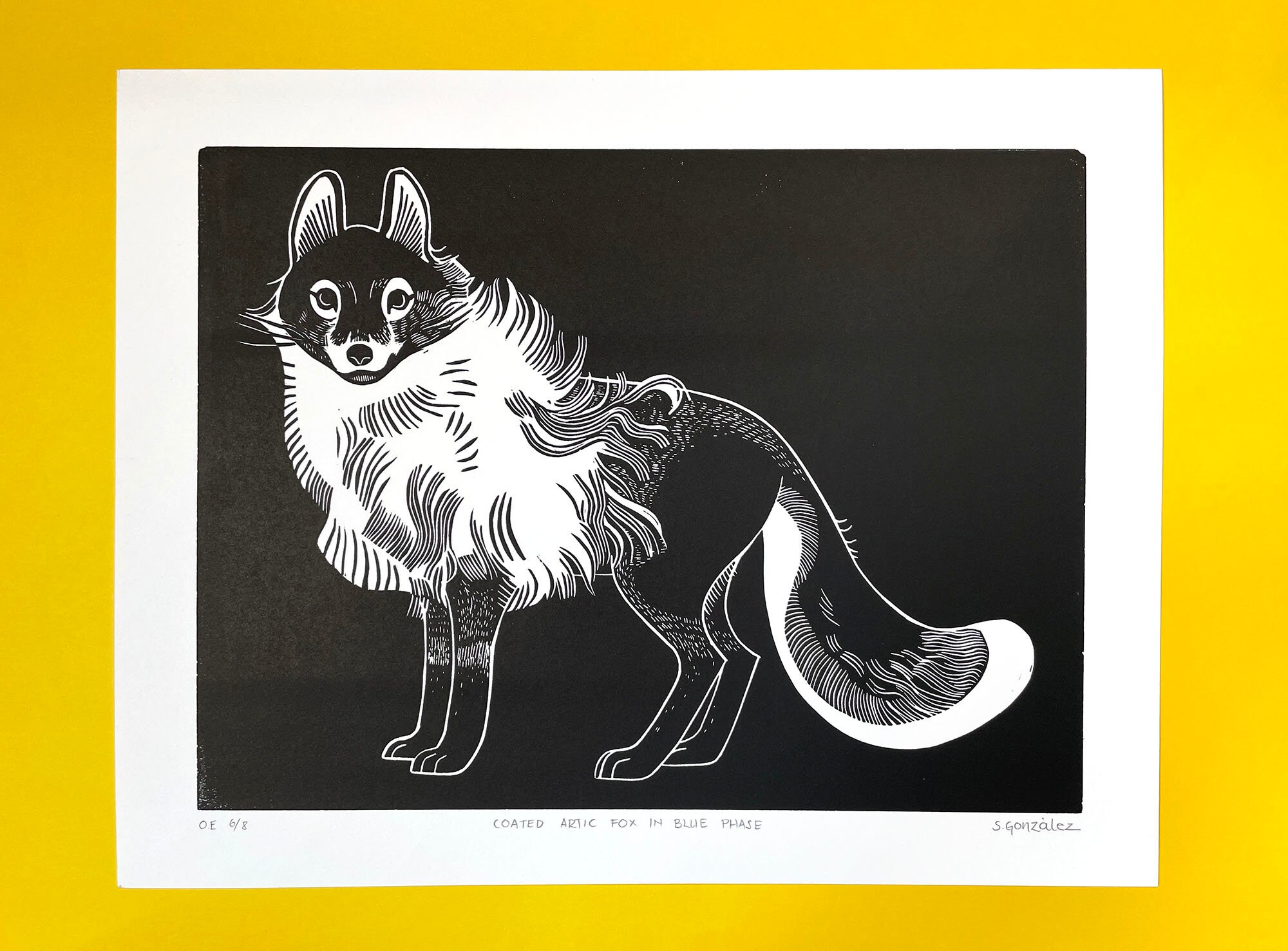 Arctic Fox Lino Print, Artic Fox Linocut Print, Gift for Him or