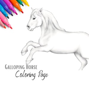 Horse Coloring Page - digital coloring page, animal coloring pages, coloring book, how to draw, kids activities
