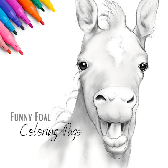 Foal Coloring Page Kids Coloring Pages Horse Art Kids - Etsy