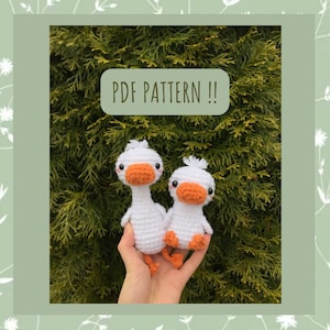 2 in 1 duck PDF patterns