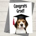 Printable Congrats Grad Card / Instant Download / 5x7 Digital Greeting ...